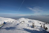 IMG_5163.JPG