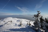 IMG_5164.JPG