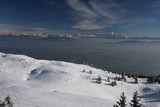 IMG_5166.JPG