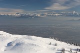 IMG_5173.JPG