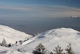 IMG_5175.JPG