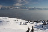 IMG_5178.JPG