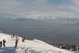 IMG_5184.JPG