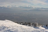 IMG_5187.JPG