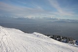 IMG_5194.JPG