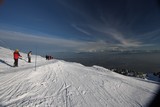 IMG_5200.JPG