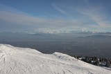 IMG_5225.JPG