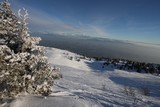 IMG_5247.JPG