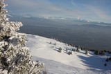 IMG_5248.JPG