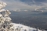 IMG_5252.JPG