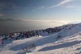 IMG_5256.JPG