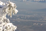 IMG_5261.JPG