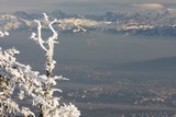 IMG_5264.JPG