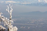 IMG_5271.JPG