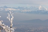 IMG_5272.JPG