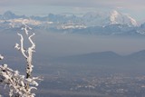 IMG_5273.JPG