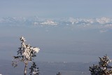 IMG_5274.JPG
