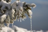 IMG_5278.JPG