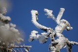 IMG_5280.JPG