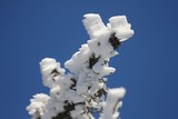 IMG_5281.JPG