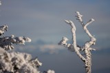 IMG_5282.JPG