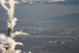 IMG_5283.JPG
