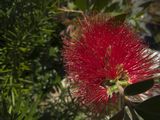 img_0813mod1.jpg