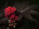 img_0886mod1.jpg