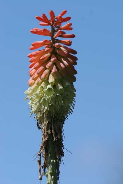 img_6568.jpg