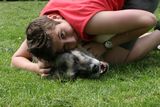 img_9341.jpg