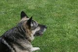 img_9349.jpg
