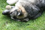 img_9357.jpg