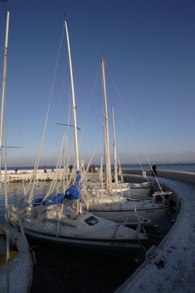 img_6546.jpg