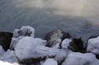 img_6496.jpg