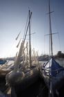 img_6531.jpg