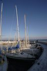img_6546.jpg