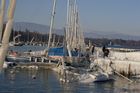 img_6563.jpg