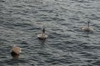 img_6567.jpg