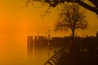 img_7602mod1.jpg