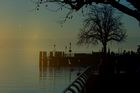 img_7602mod2.jpg