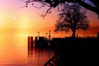 img_7602mod3.jpg