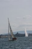img_8942.jpg