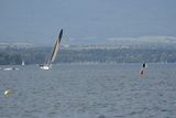 img_8951.jpg