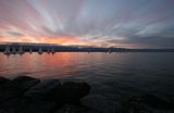 img_9003_1.jpg